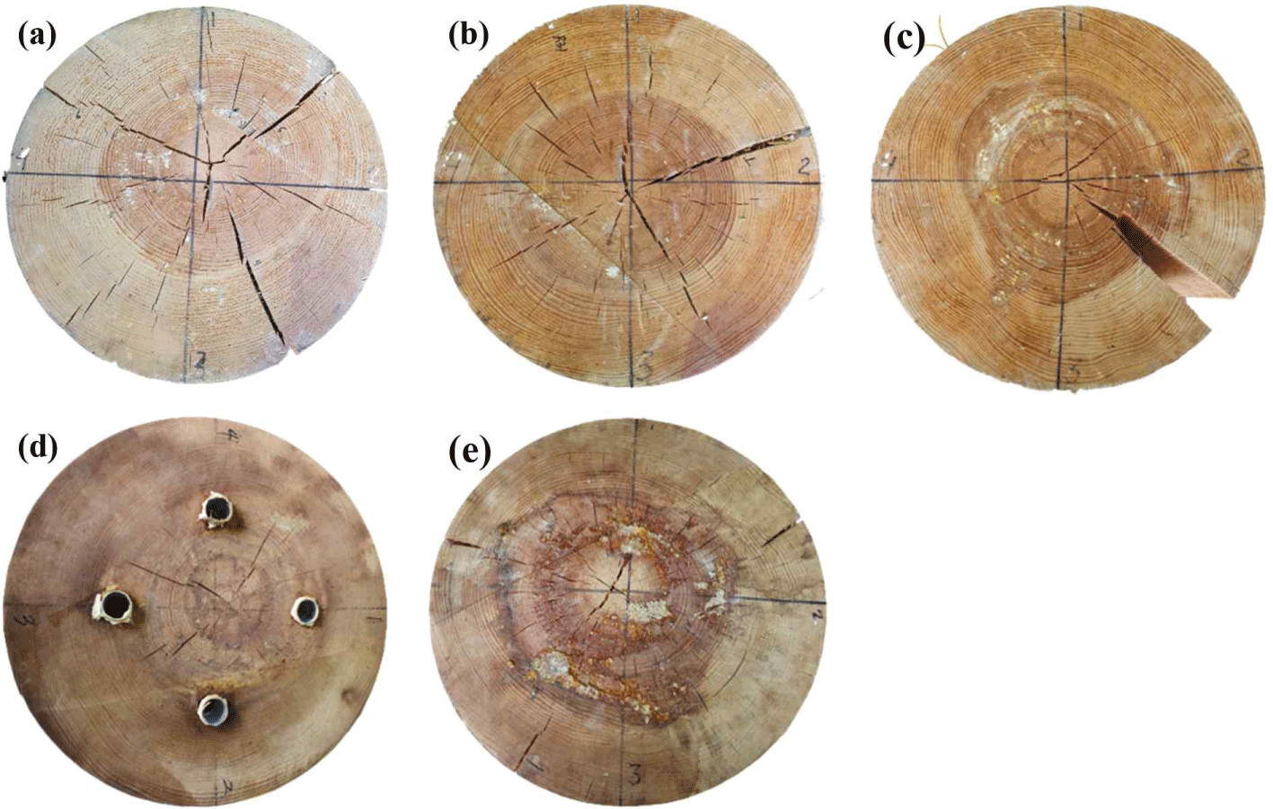 wood-51-6-493-g11