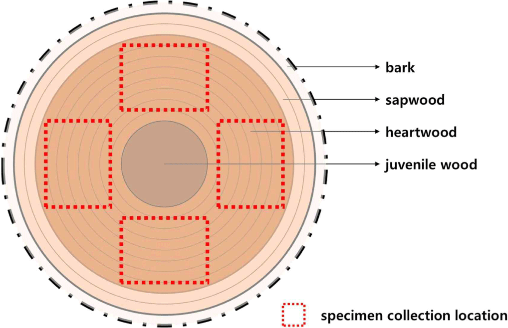 wood-52-6-565-g2